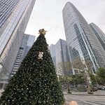 IMG_7195