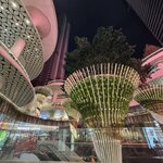 IMG_6566