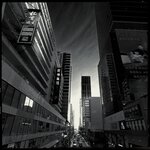 IMG_6587 2