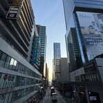 IMG_6589