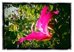2011-02-05-17-27-18-841