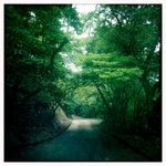 My way in Mt. Parker