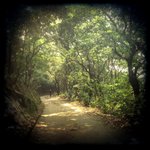 My way in Mt. Parker