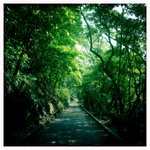 My way in Mt. Parker