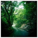 My way in Mt. Parker
