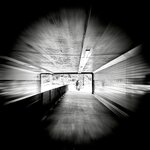 IMG_8341 
