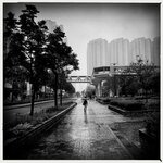 IMG_8422