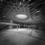 IMG_8442