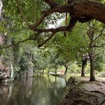 IMG_4855