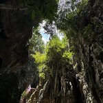 IMG_4887