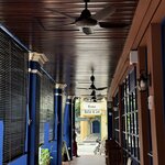 IMG_5029