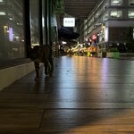 IMG_5304