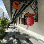 IMG_5677