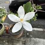IMG_5680