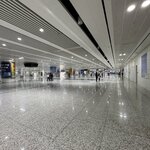 IMG_7353
