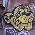 IMG_7444