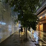 IMG_3757