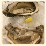 oyster, I just like it