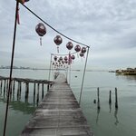 IMG_9500