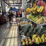 IMG_9541
