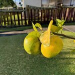 IMG_3169