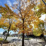 IMG_3185