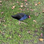IMG_3258
