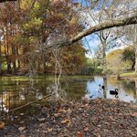 IMG_3303