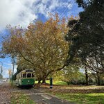 IMG_3323