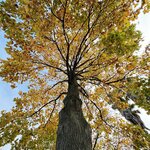 IMG_3420