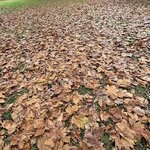 IMG_3502