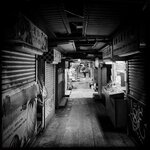 IMG_8533