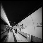 IMG_8535