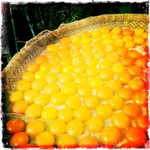 Salted egg yolk @ Tai O