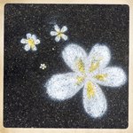 flowers on the ground