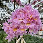 IMG_1051