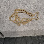 IMG_1118