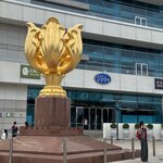 IMG_1138
