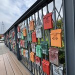 IMG_1146