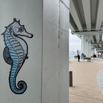 IMG_1193