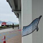 IMG_1194