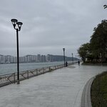 IMG_1207