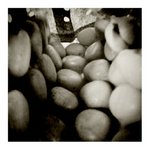 2010-12-29-15-51-05-291