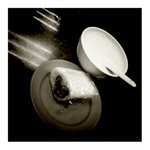 2011-01-19-11-37-00-348