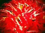 2011-02-19-19-36-29-677