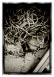 2011-05-10-12-40-29-928