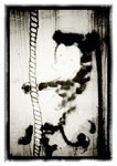 2011-03-27-09-55-44-494