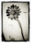 2011-04-24-17-19-34-156