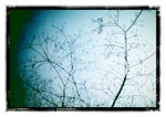 2011-02-25-14-04-09-294