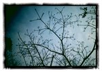 2011-02-25-14-04-50-843